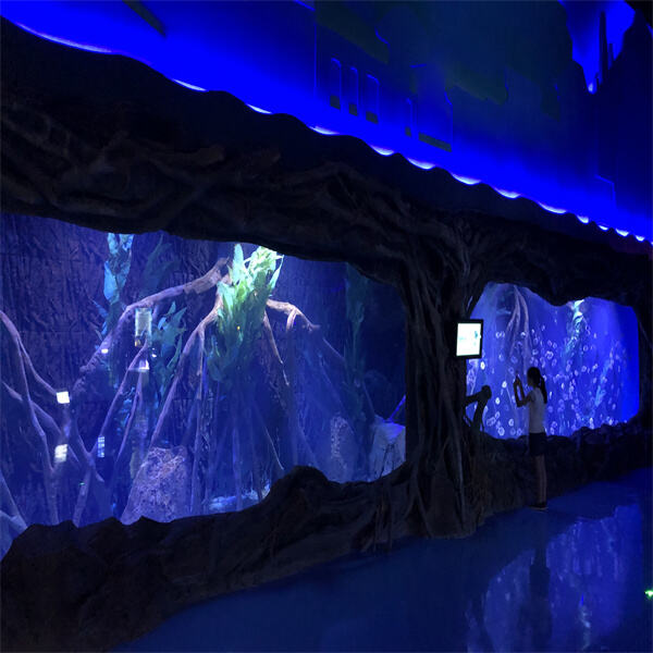 Create a Magical Underwater World with Our Oversized Aquariums