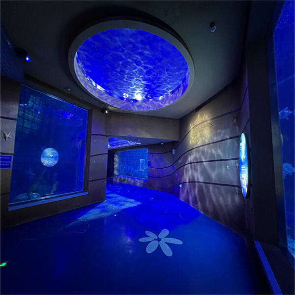 Experience crystal-clear viewing with our top-quality acrylic aquariums