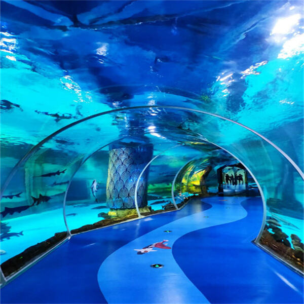 Unveiling the Treasures of a Vibrant Reef Aquarium