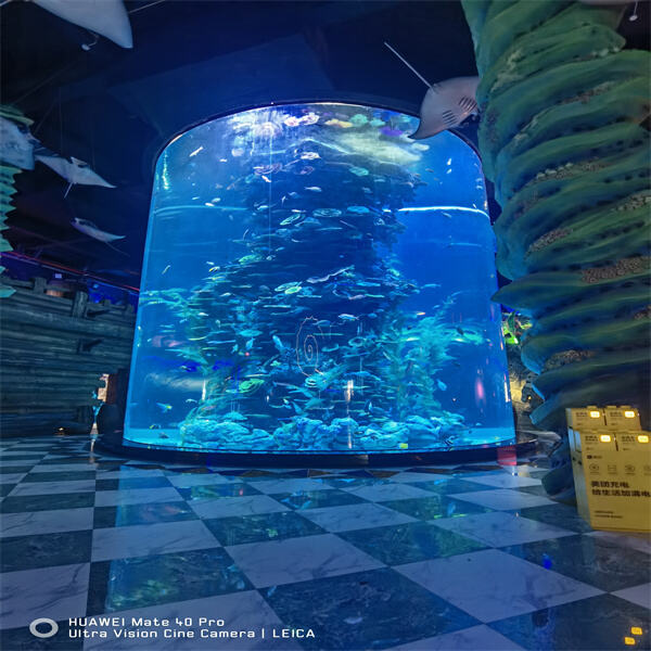 Revealing the Elegance of Half-Cylinder Fish Tanks