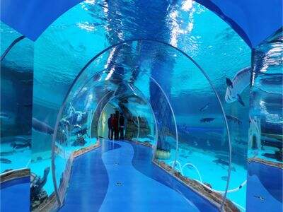 How Our Large Acrylic Aquarium Can Be Integrated into Themed Environments