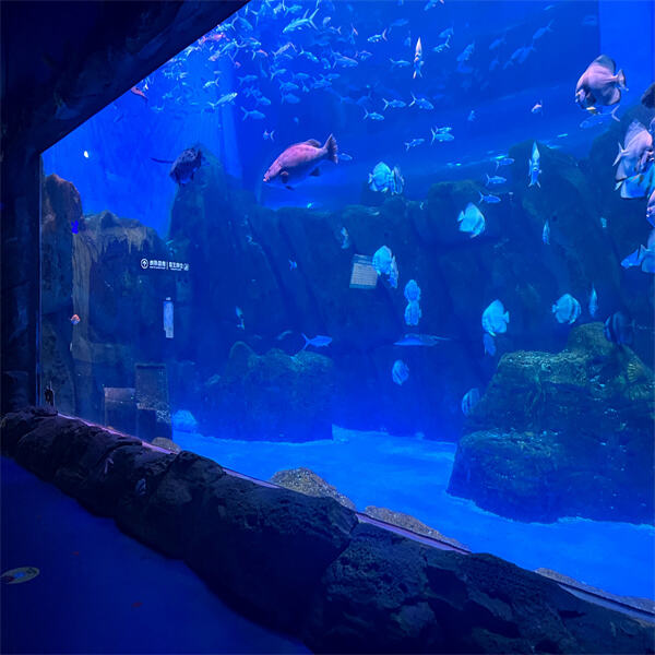 Discover the Beauty of Large-Scale Aquatic Displays