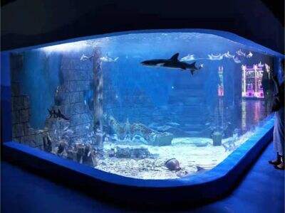How a Custom Acrylic Aquarium Can Increase Foot Traffic and Customer Dwell Time