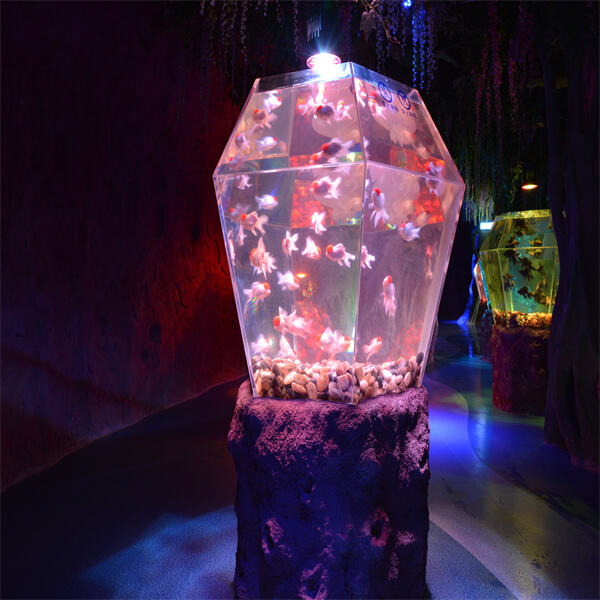Choosing the right aquarium tank large enough to accommodate your fish's needs