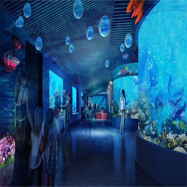 Public Aquarium Design for Education and Conservation