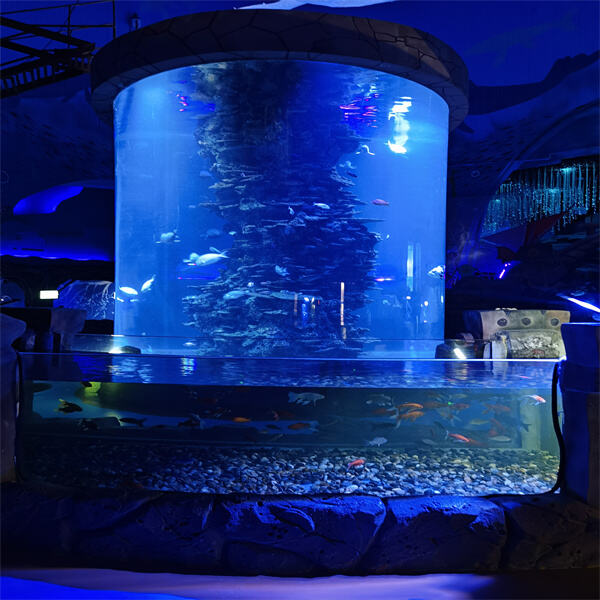 Improving Your Round Fish Tank to Make a Magnificent Setup