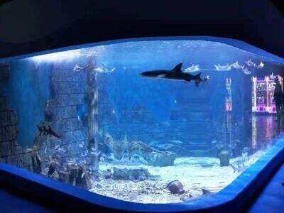 Best practices for on site bonding of segmented acrylic aquarium tanks