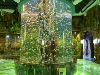 How to verify the optical quality of raw material for acrylic aquarium tanks