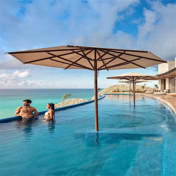 Get Ready to Dive into an Acrylic Infinity Pool - The Epitome of Elegance