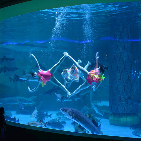 أهمية السلامة في الاعتناء بحوض السمك