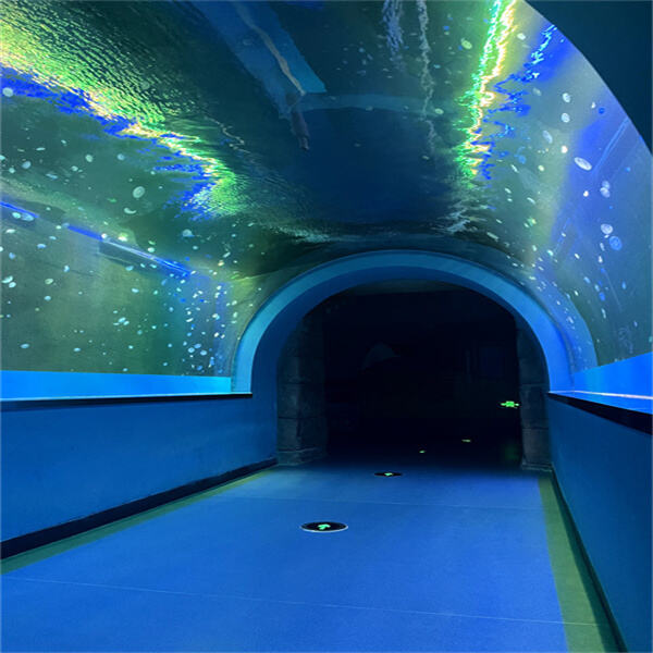 An Epic Journey Through a Giant Reef Aquarium
