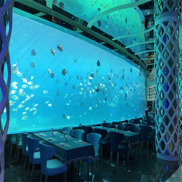 Let us go around Oceans to understand the feasibility of underwater Restaurants.