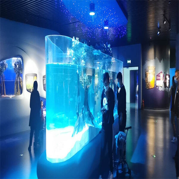 Bringing the Ocean to Your Home.