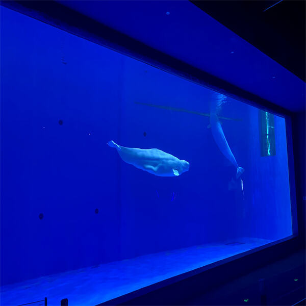 Maintaining Your Commercial Fish Tank System