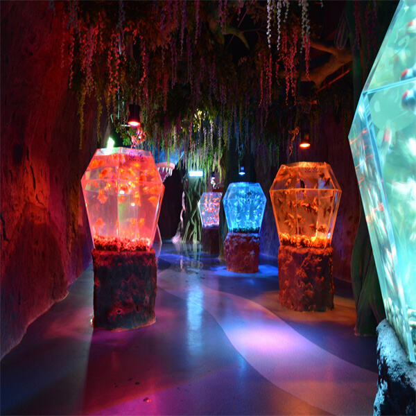 Maintenance tips for a healthy and beautiful large aquarium tank