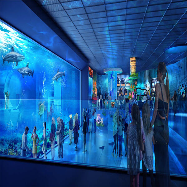 Innovative public aquarium design is changing the way organisations connect with audiences.