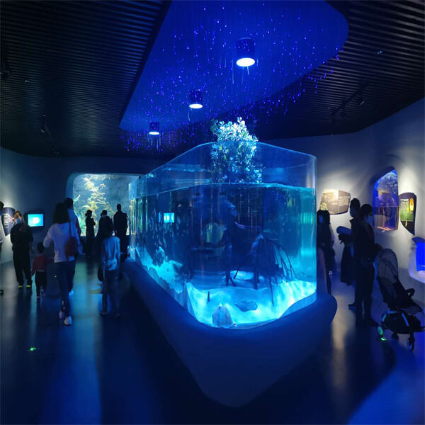 From Sharks to Seahorses - Explore the Possibilities of Large Aquarium Tanks.