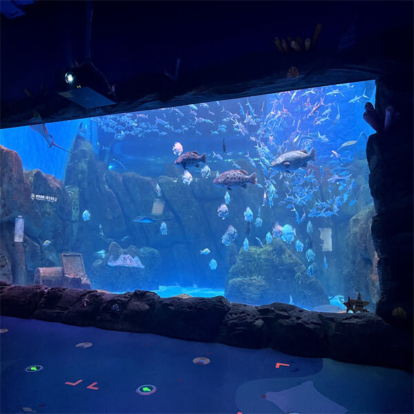 The Top Benefits of Using Acrylic Sheeting in Your Fish Tank