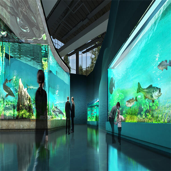 Public Aquariums Strategic Planning and Design