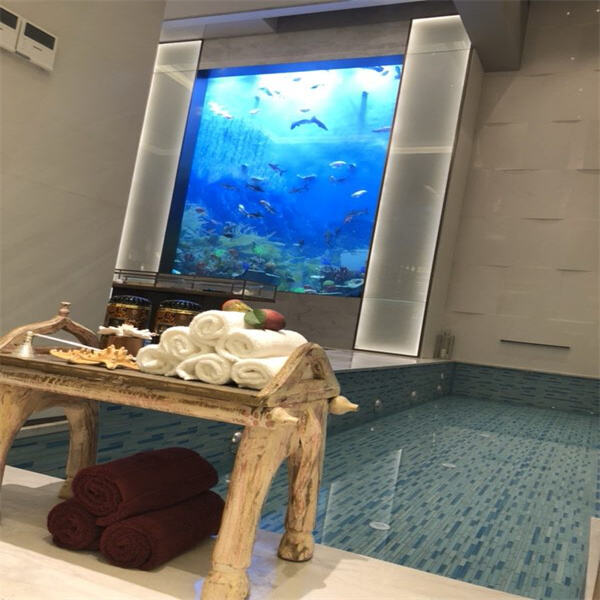Swim into Savings with Our Huge Aquarium Tank Sale