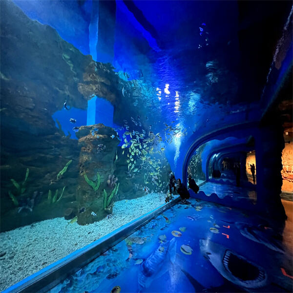 Explore interactive live presentations like touch pools and marine life habit displays.