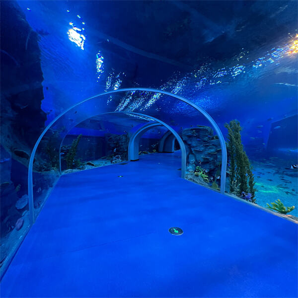 Taking a journey through sunken aquarium tunnels.