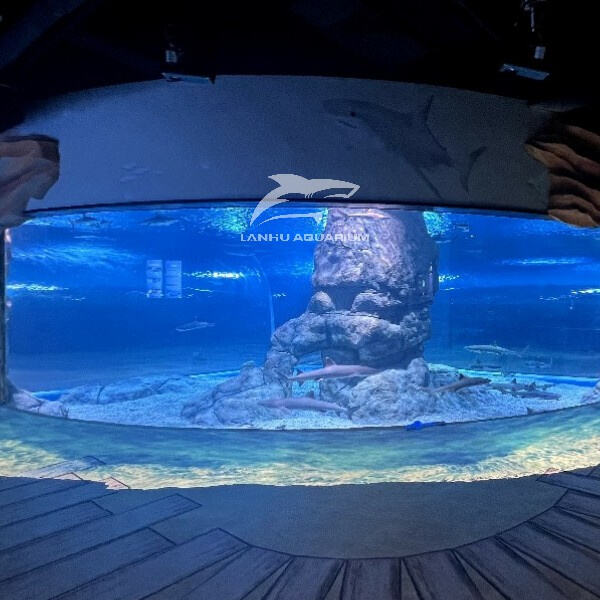 How to Make a Fish Tunnel?