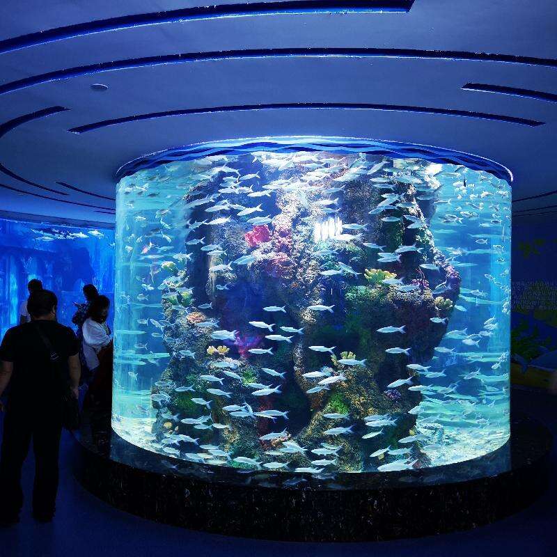 Big acrylic cylinder aquarium is the first choice for shopping mall