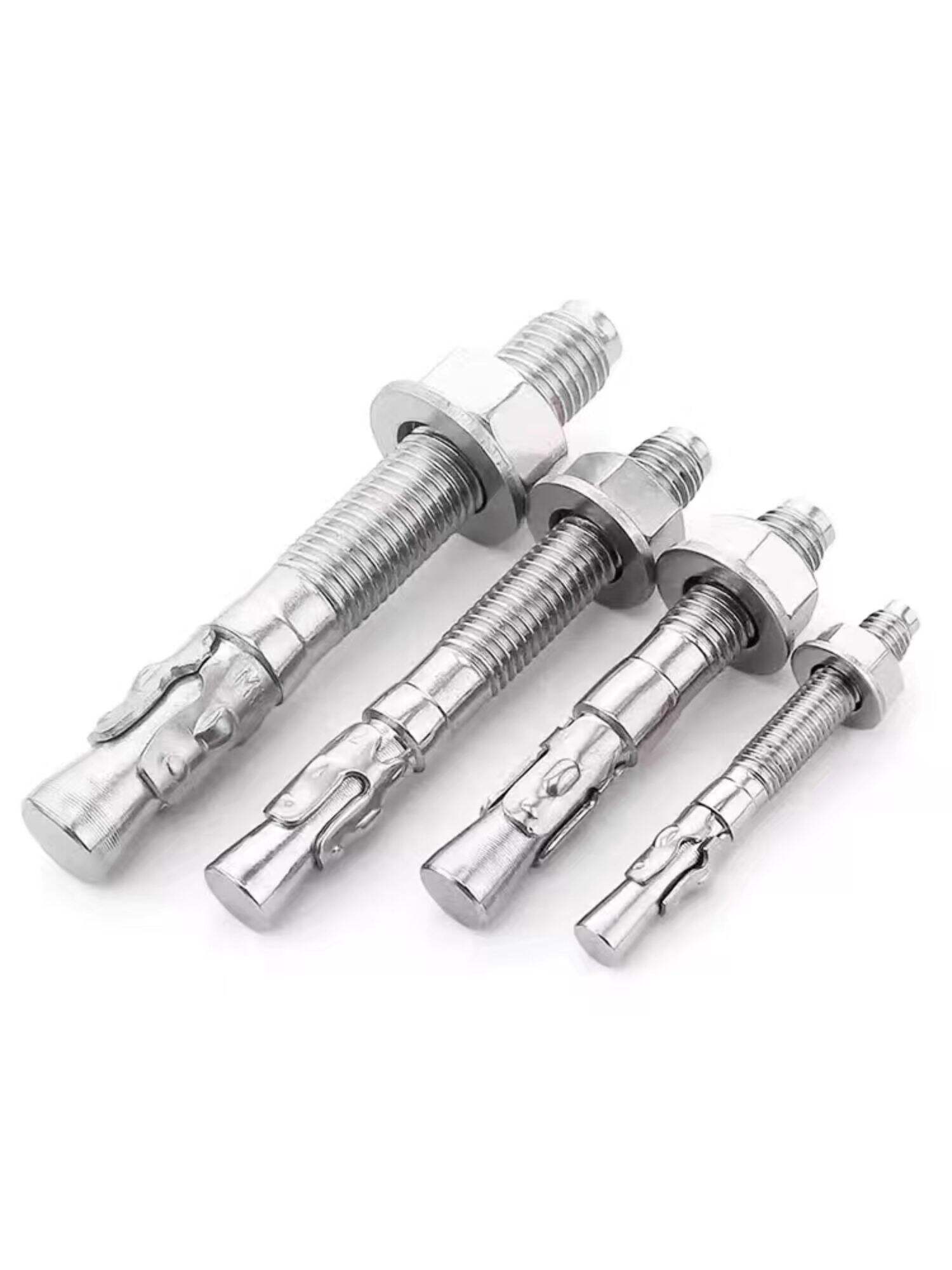 Stainless Steel Wedge Anchor Expansion Bolts