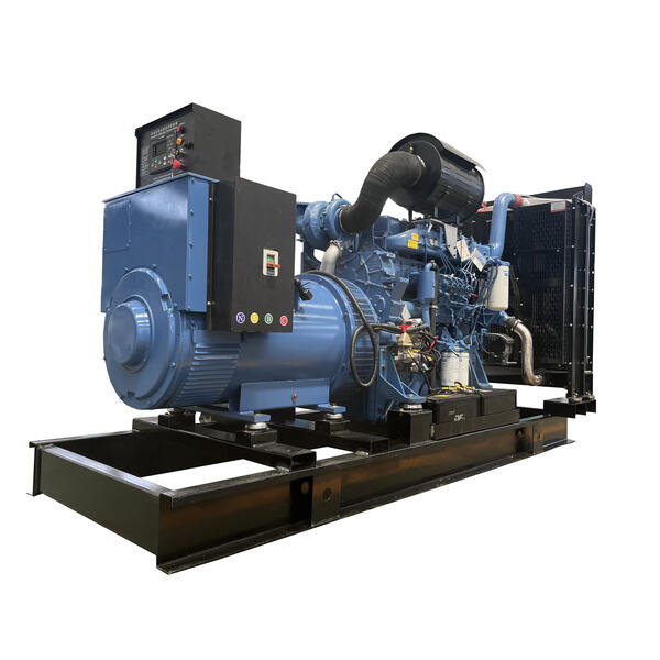 Anbieter eines 500-kVA-Generators