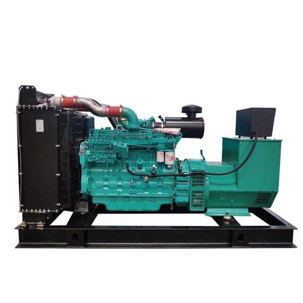 Service and Quality of The 160kw Generator