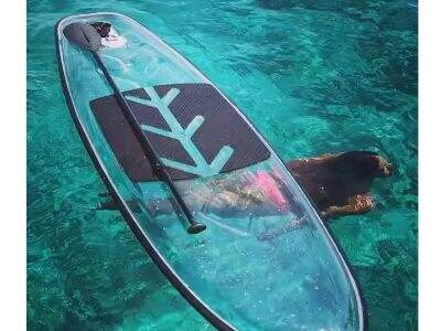 Experience an Ultimate Water Adventure with a Transparent Stand Up Paddle Board