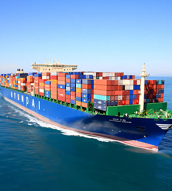 Expertise in Navigating International Shipping Regulations