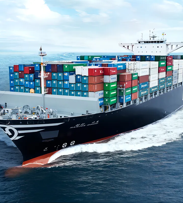 NEWBEE Shipping Agent: Driving Efficiency in Your Operations