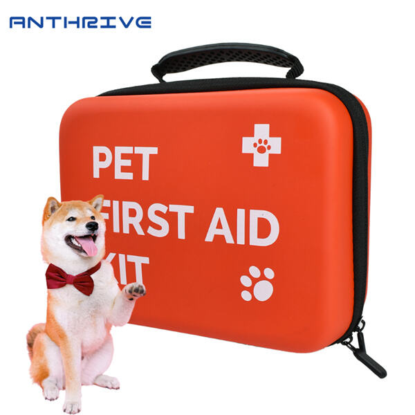 Ensuring Your Pet's Safety with an Emergency Ki