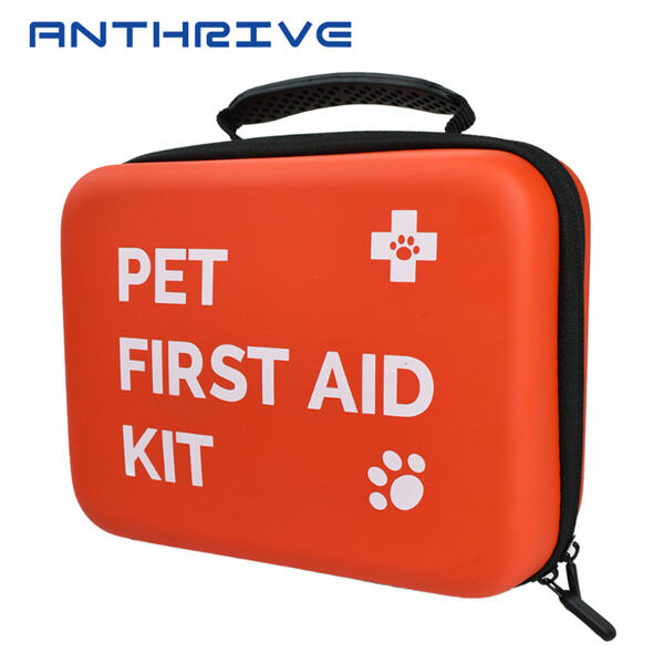 Paano ang Unang Pagpapagamot na Kit ay Maaaring Magligtas ng Buhay ng iyong Pusa