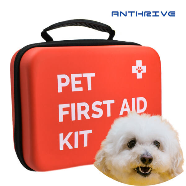Knowing the Limits of First Aid for Animals