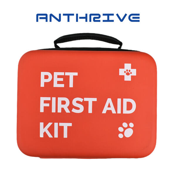 Madaling Hakbang upang Magtala ng Iyong Sariling