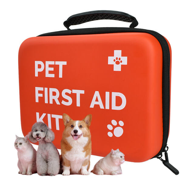 Creating a First-Aid Kit for Your Furry Friends