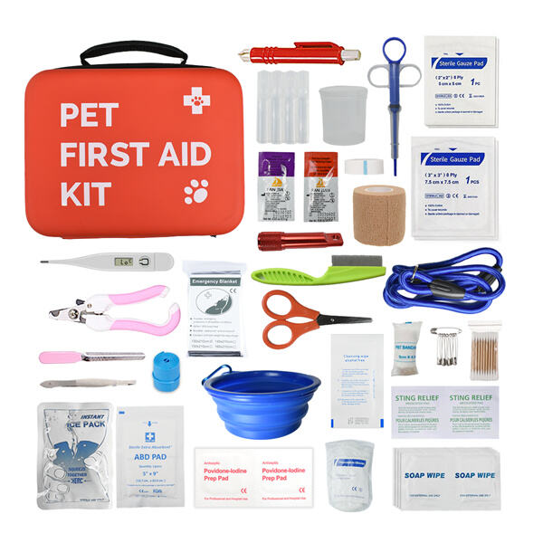 What to Include in Your Dog 1st Aid Ki