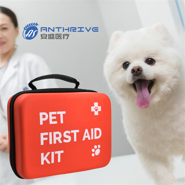 The Top Must-Have Items for Your Dog 1st Aid Ki