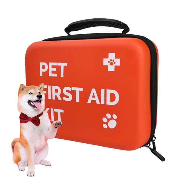 Fimmtu fremstu verktökum sem þarftu í læknisþætti fyrir hund.