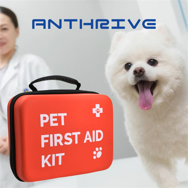 Invest in a reliable dog first aid box