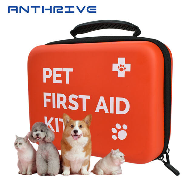 Keep Your Furry Friend Safe on Adventures with a Portable Dog Med Ki