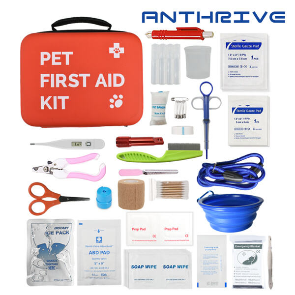Protect Your Dog from Common Injuries with a Complete Med Ki