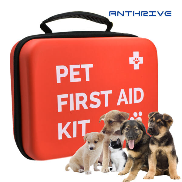 A dog first aid box can make all the difference
