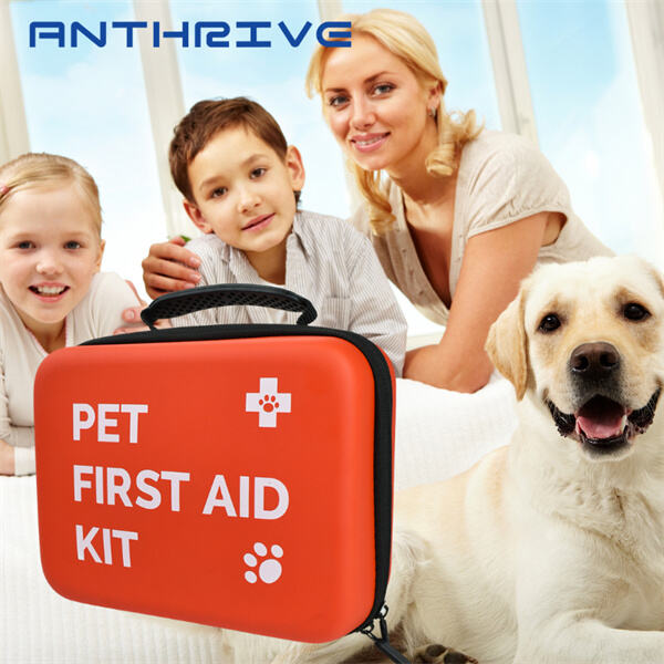 Keep a First Aid Box on Hand