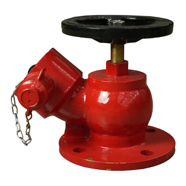 L'histoire et l'évolution de l'hydrant à incendie