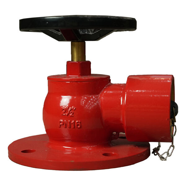 Assurer une alimentation en eau suffisante avec des hydrants à flexible
