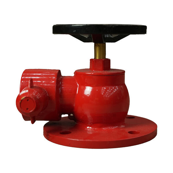 Conseils d'entretien pour maintenir votre buse d'hydrant dans un bon état